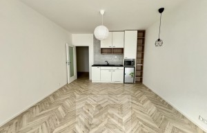 Apartment for rent, 1+KK - Studio, 38m<sup>2</sup>