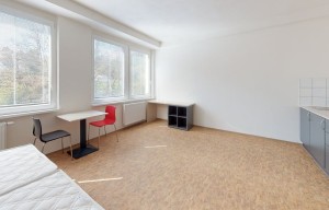 Apartment for rent, 1+KK - Studio, 35m<sup>2</sup>