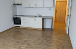 Apartment for rent, 1+KK - Studio, 30m<sup>2</sup>