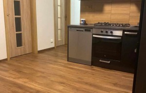 Apartment for rent, 3+kk - 2 bedrooms, 50m<sup>2</sup>