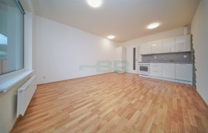 Apartment for rent, 1+KK - Studio, 40m<sup>2</sup>