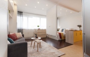 Apartment for rent, 1+KK - Studio, 39m<sup>2</sup>